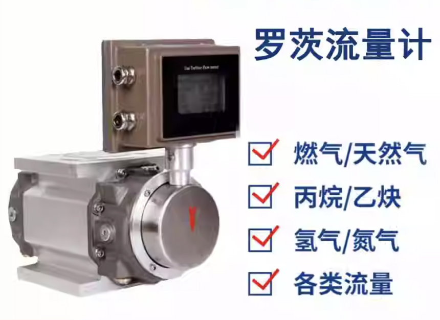 DN65氣體羅茨流量計